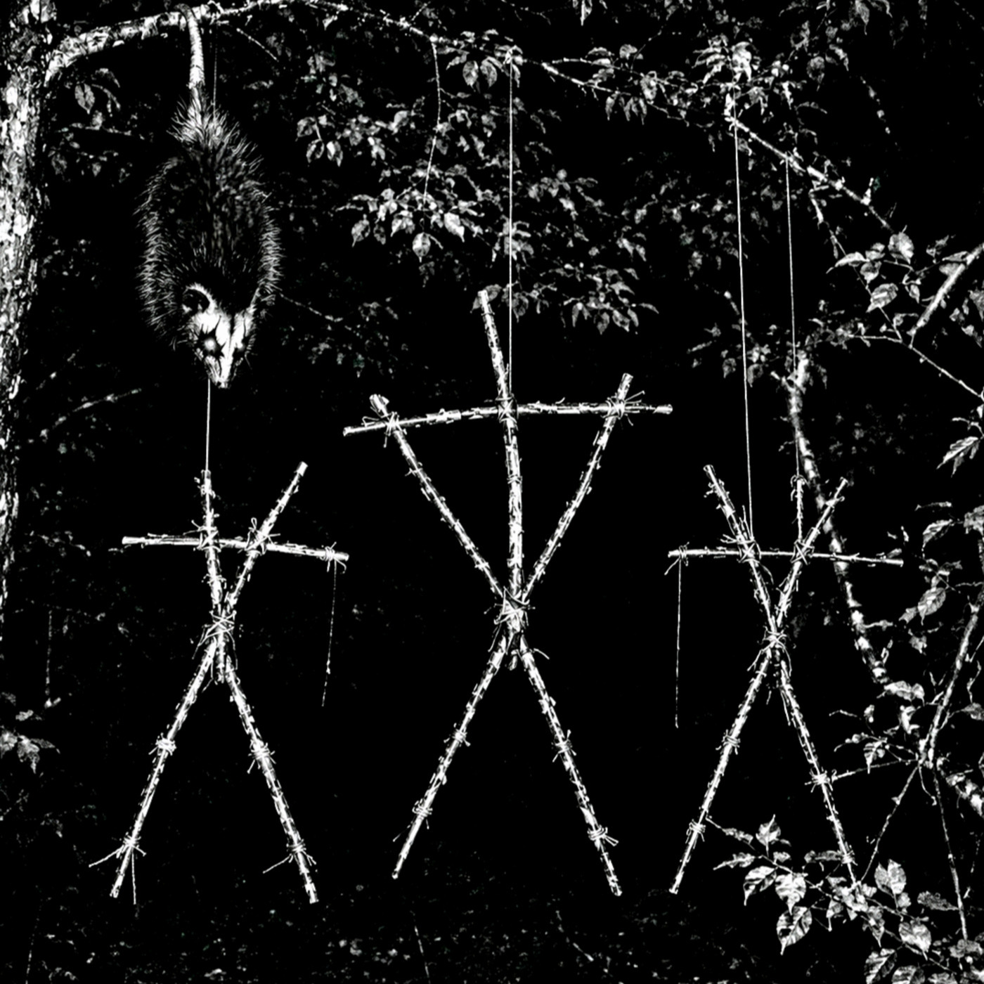 The Night Club 228: Should've Smashed, Faced The Corner And Knelt On The Rice(The Blair Witch Project - 1999)