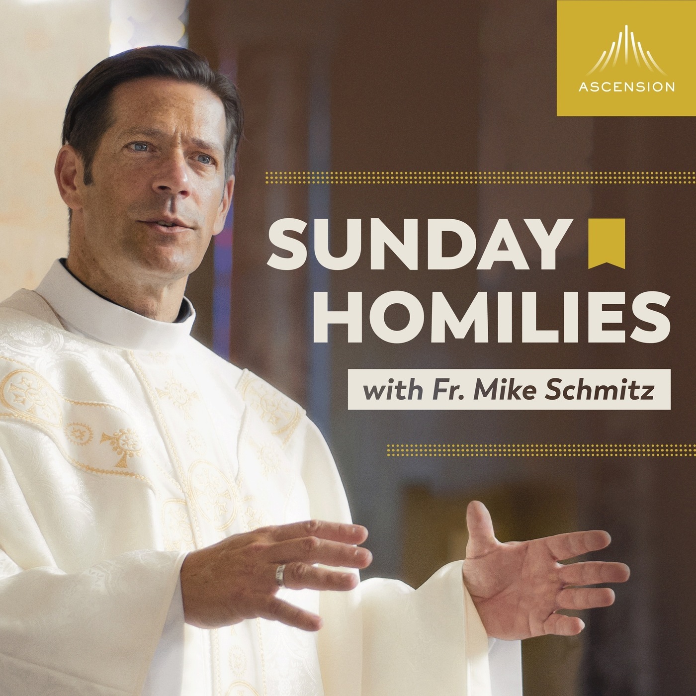Sunday Homilies with Fr. Mike Schmitz: 05/31/26 Understanding...or Trust?