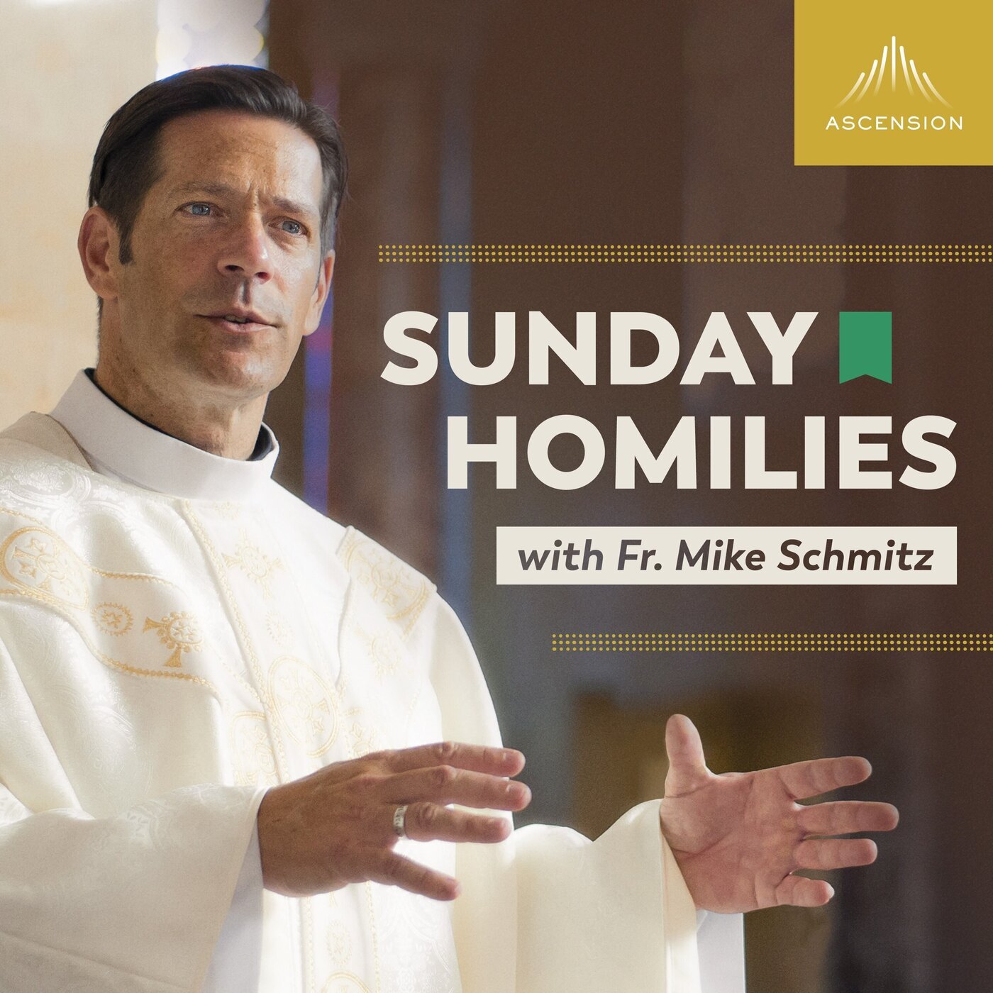Sunday Homilies with Fr. Mike Schmitz: 08/09/26 In the Storm