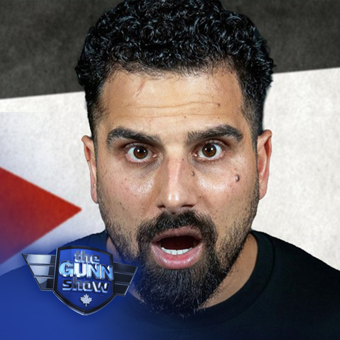 SHEILA GUNN REID | Leftists furious as Avi Yemini uses their own electoral tricks against them