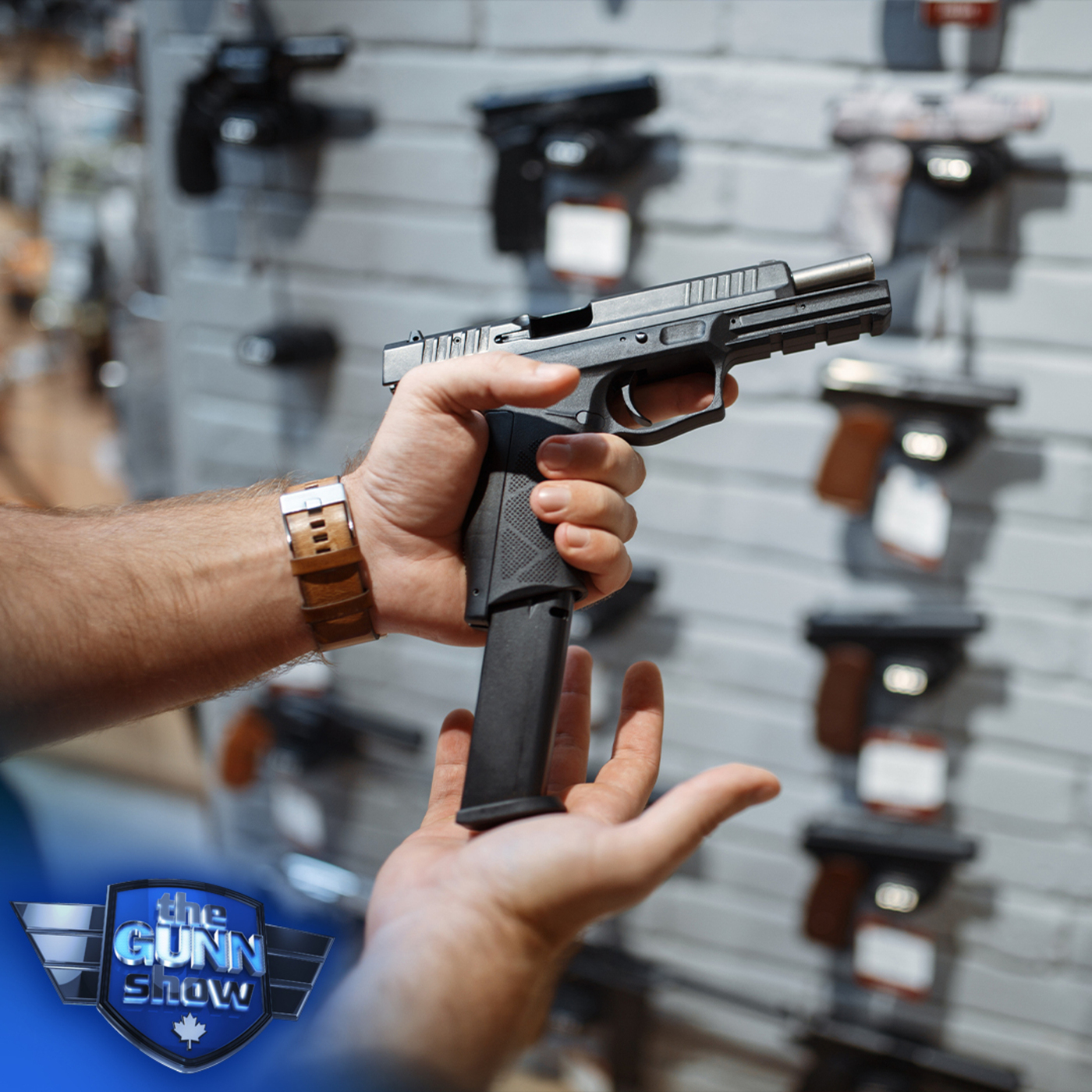 Rebel News Podcast: SHEILA GUNN REID | Tracey Wilson: Saskatchewan moves to shield gun owners from Ottawa’s gun grab