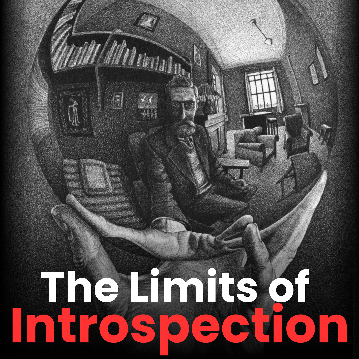Increments: #96 (Bonus) - On the Limits of Introspection