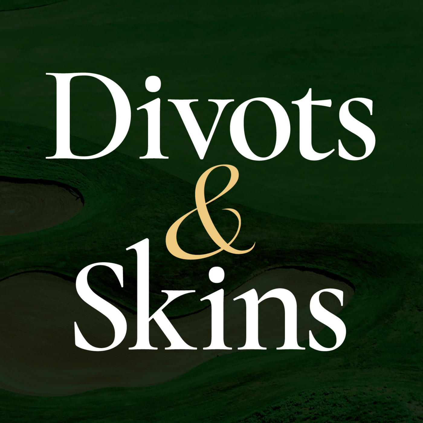 Divots & Skins ep8-missed-cuts-mindset-and-playoff-holes-at-fox-run: Ep 9 - Missed Cuts, Mindset, and Playoff Holes at Fox Run