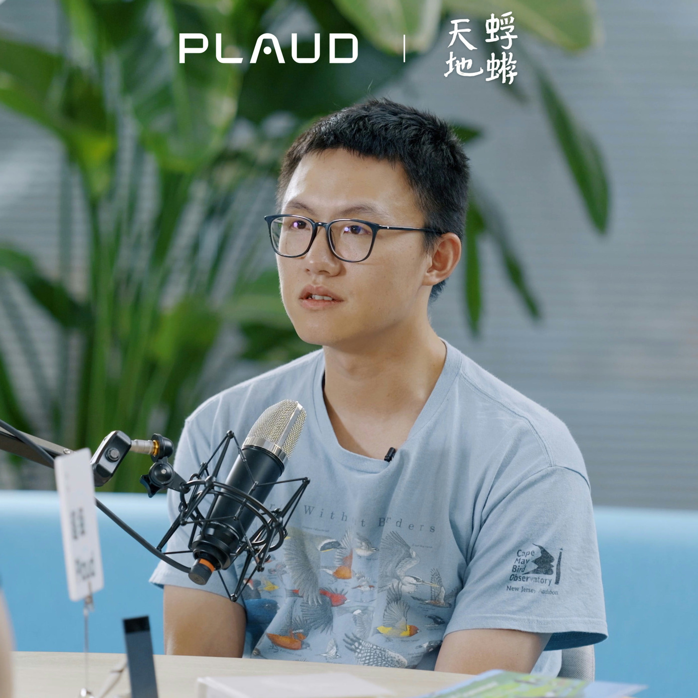 蜉蝣天地 Meanders 18: 感官放大世界：和任宁聊观鸟、自然与自由