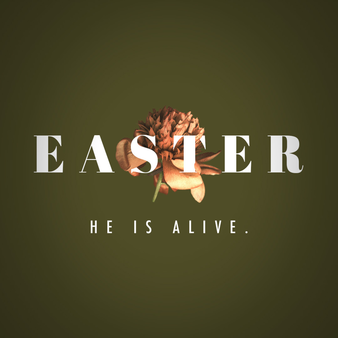 Easter | Romans 8:1 | No Condemnation!