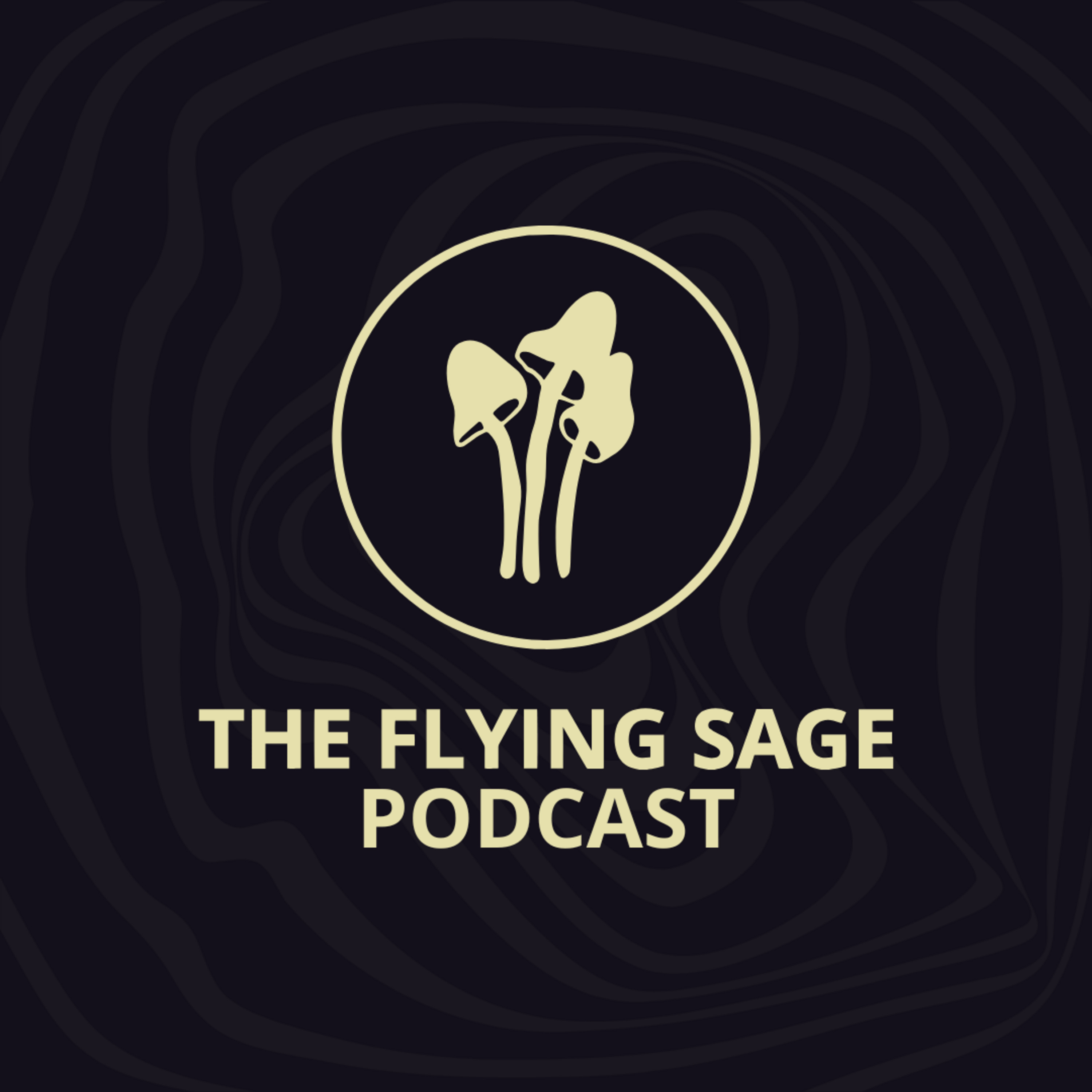 The Flying Sage Podcast
