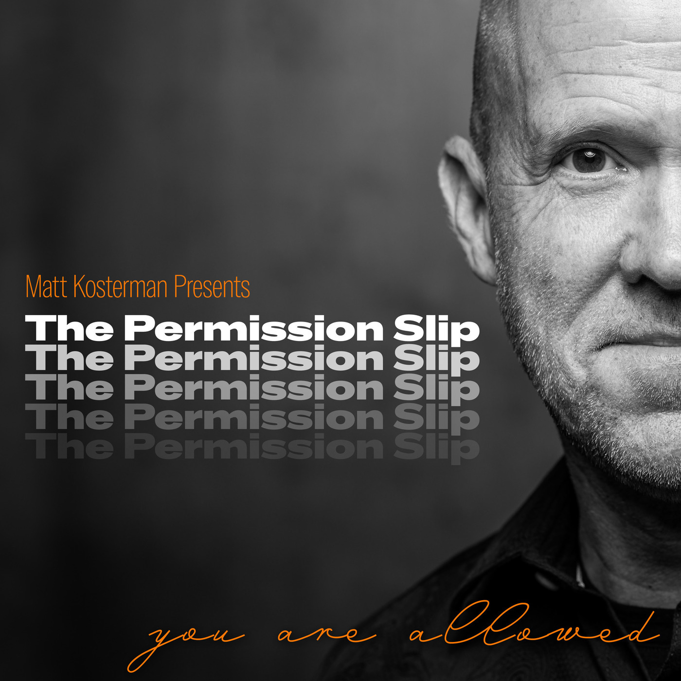 The Permission Slip s2e5-kubicko: S2 | E5 Karen Kubicko, Psychic Intuitive, Reiki Master & More