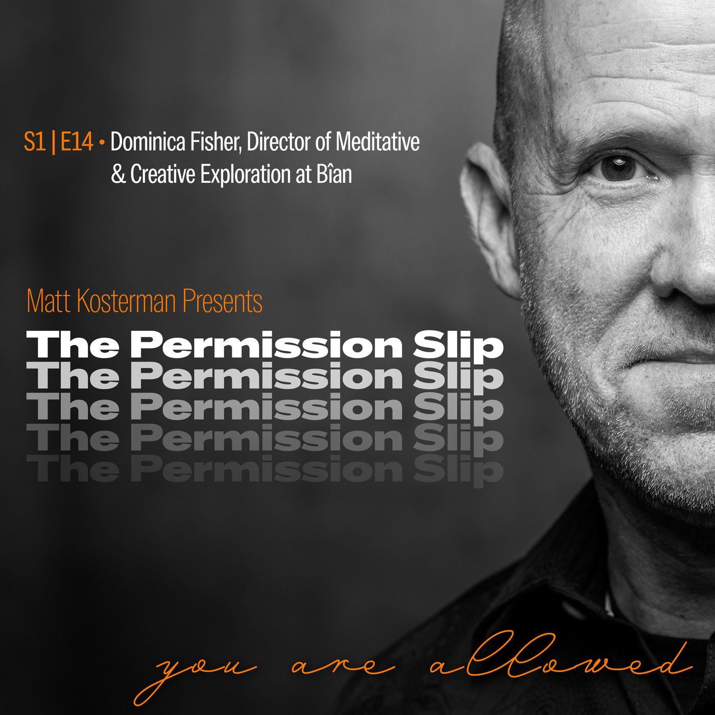 The Permission Slip s1e14-fisher: S1 | E14 Dominica Fisher - Director of Meditative  & Creative Exploration at Bîan
