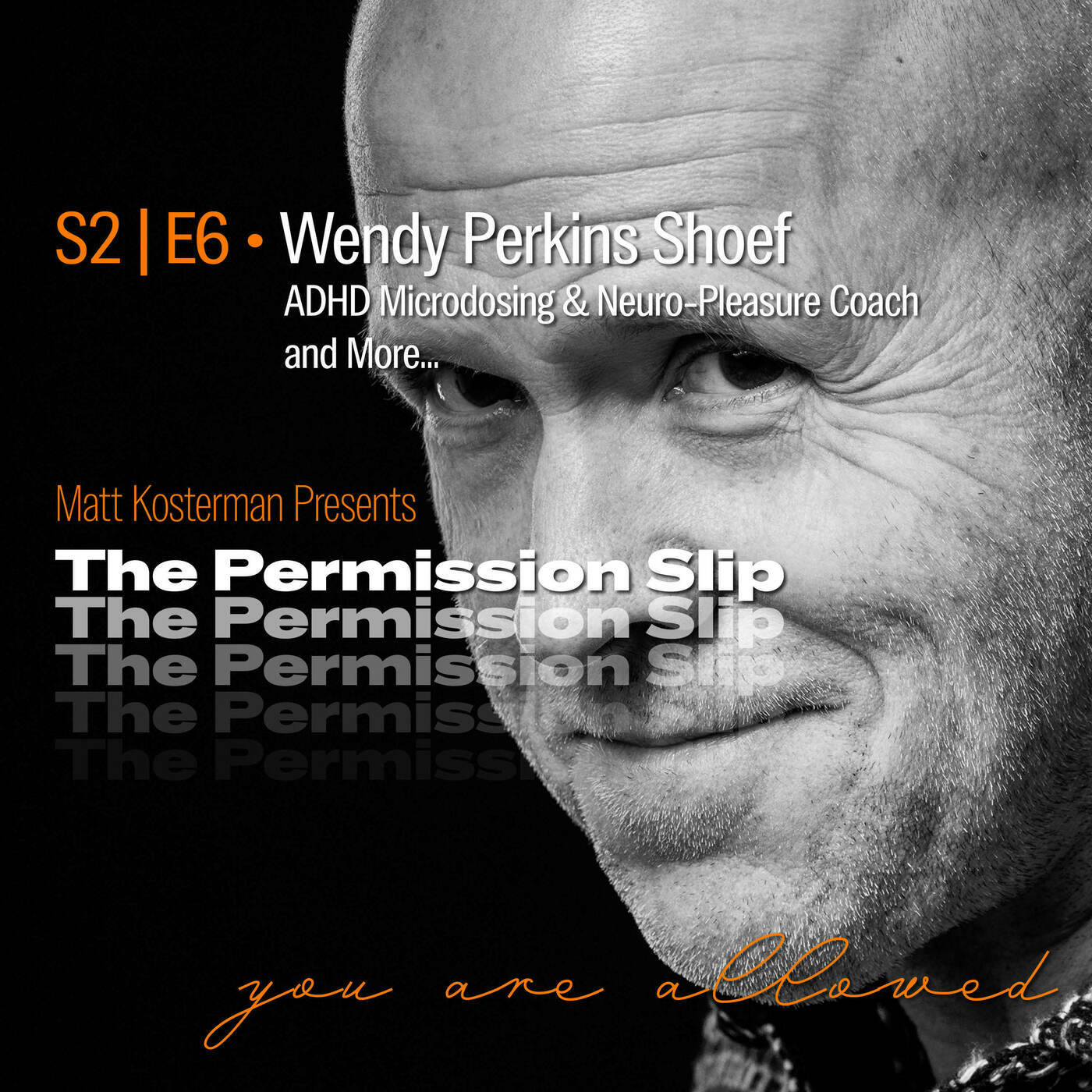 The Permission Slip s2e6-perkins-shoef: S2 | E6 Wendy Perkins Shoef, ADHD Microdosing and Neuro-Pleasure Coach and More