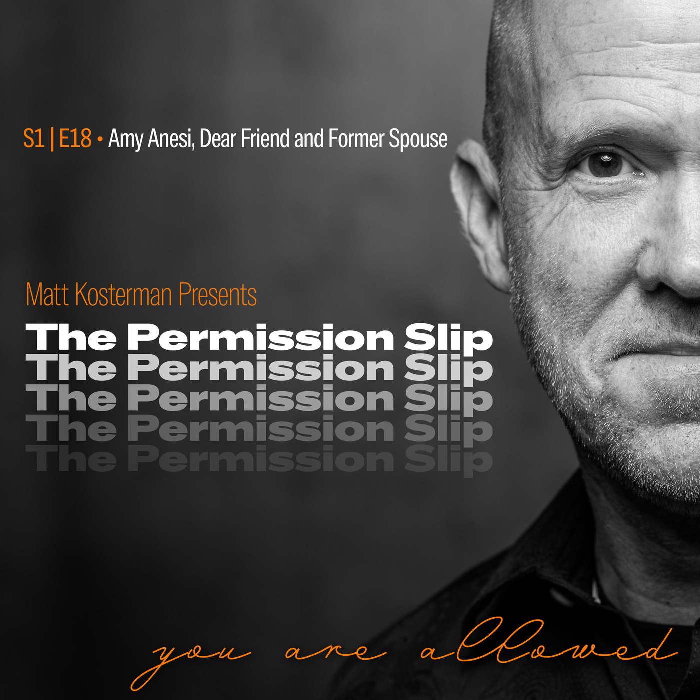 The Permission Slip s1e18-amy-anesi: S1 | E18 Amy Anesi - Dear Friend & Former Spouse
