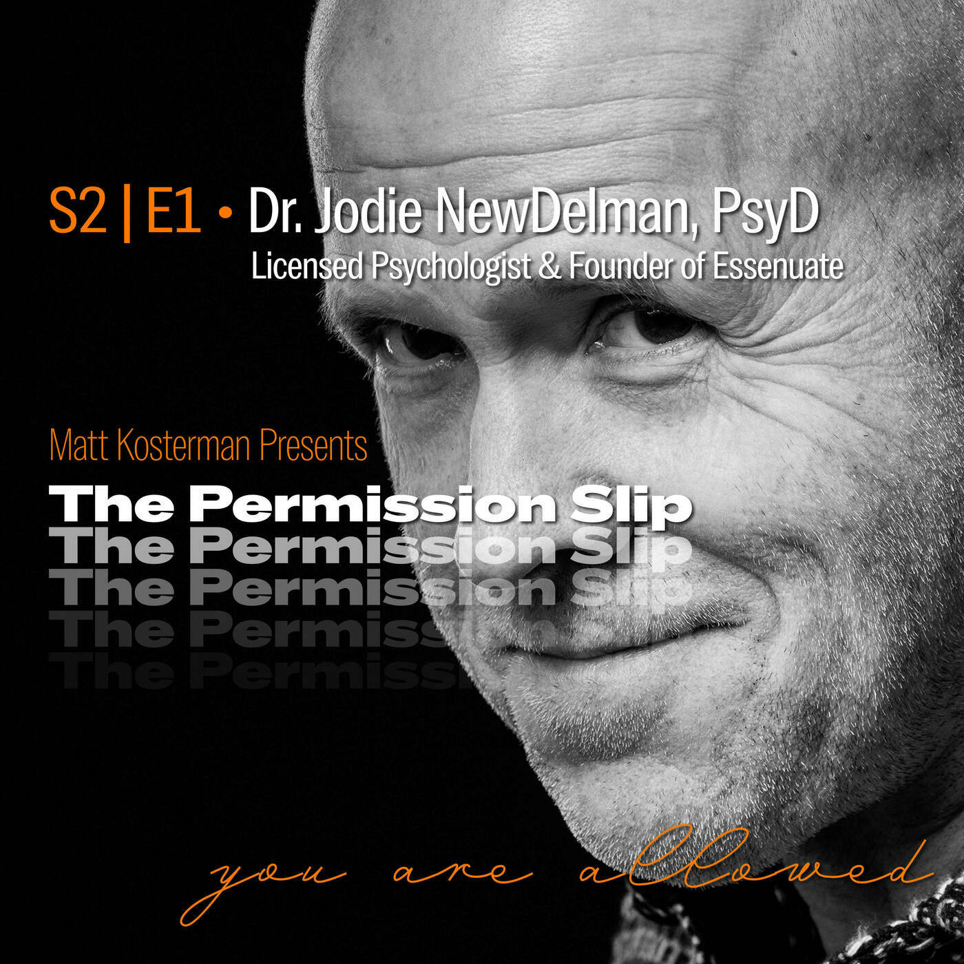 The Permission Slip s2e1-newdelman: S2 | E1 Dr. Jodie NewDelman, Doctor of Psychology
