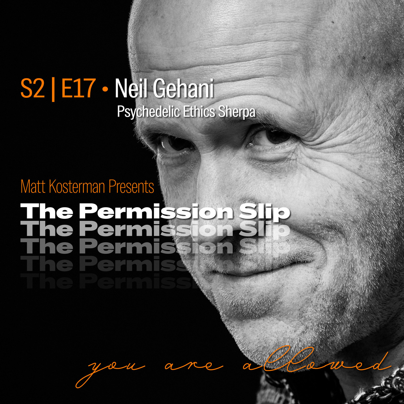 The Permission Slip s2e17-gehani: S2 | E17 Neil Gehani