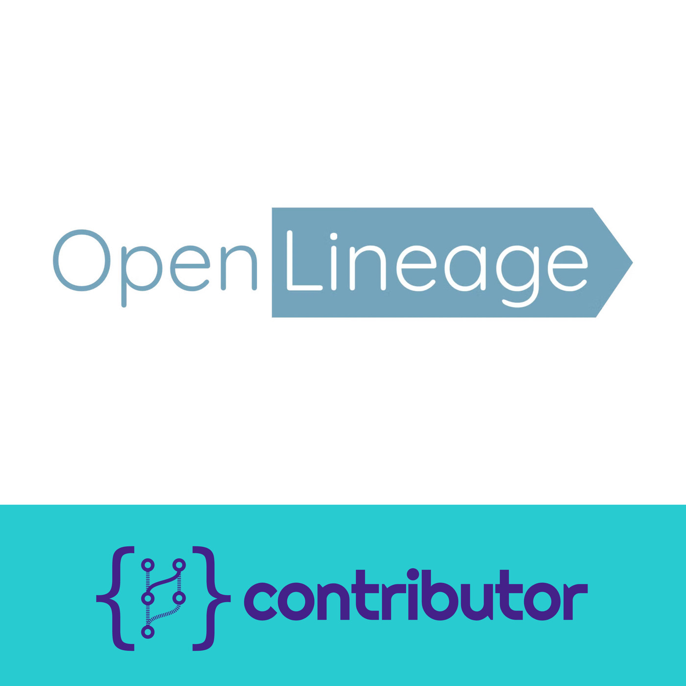 Contributor: Data Processing Evolved: OpenLineage with Willy Lulciuc