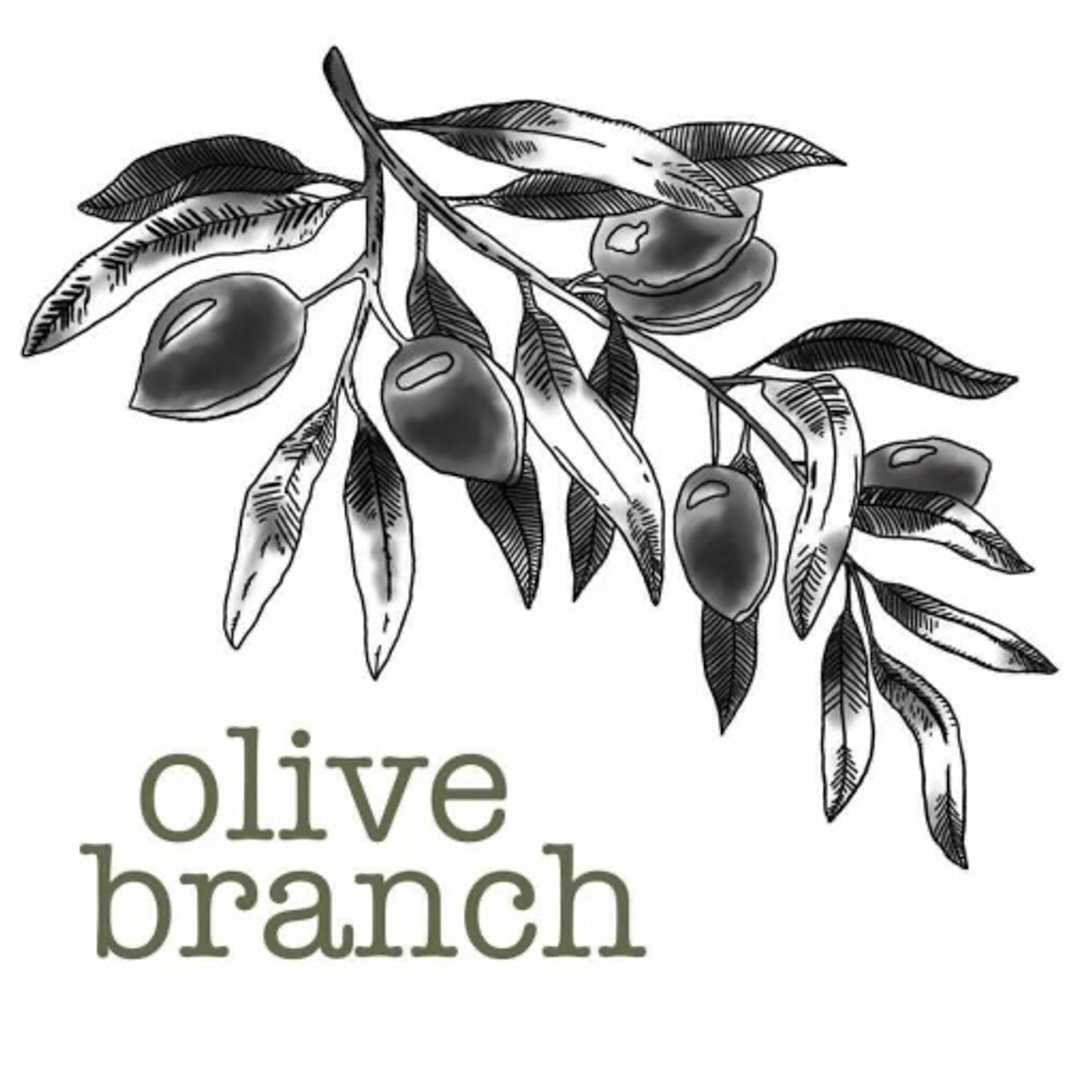 Episode 22: Zachary Foster — Olive Branch cover