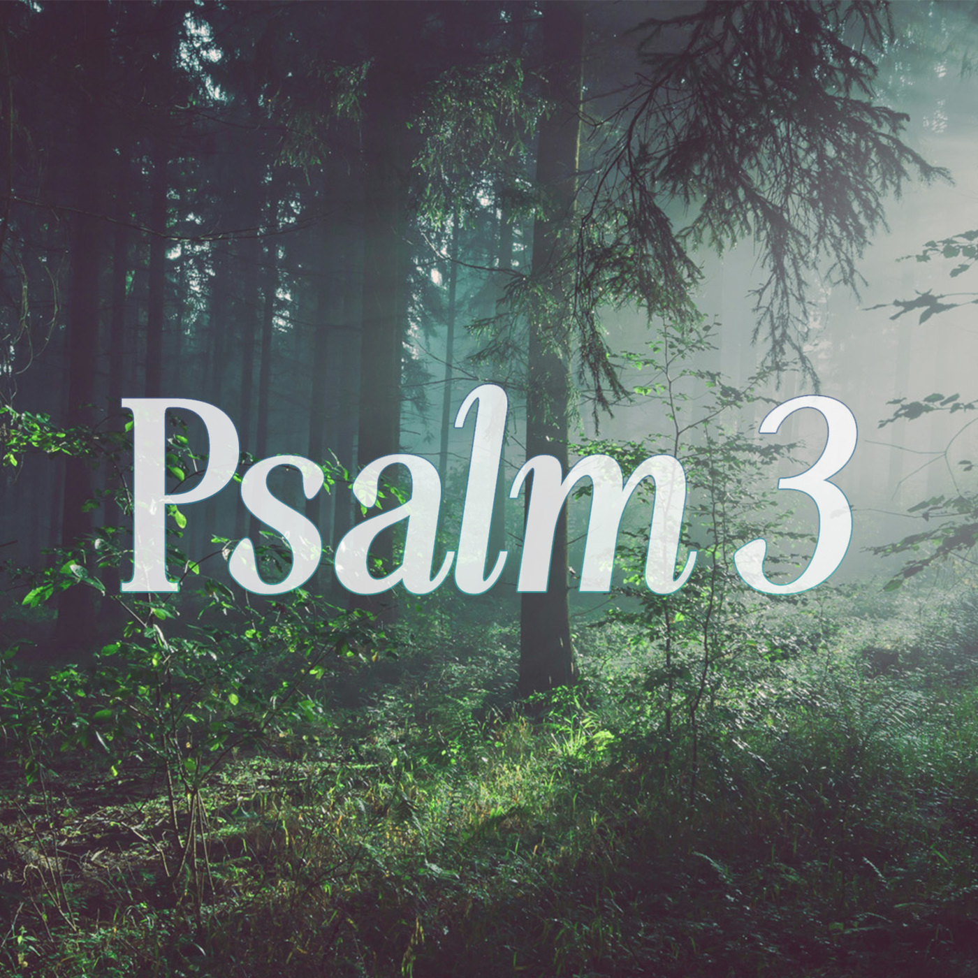 Salvation Belongs to the Lord