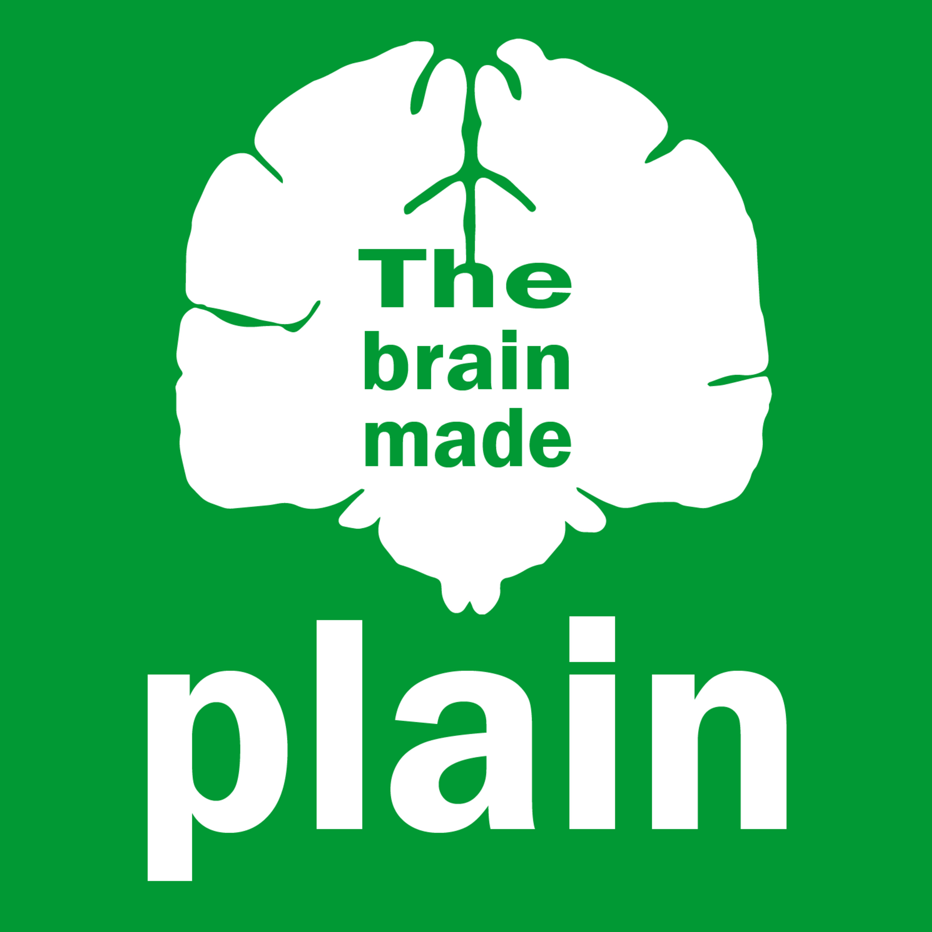 The Brain Made Plain