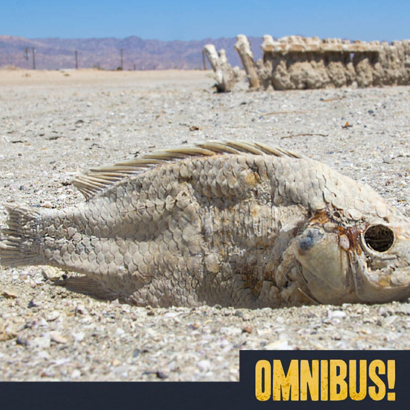 Salton Sea (Entry 1098.GN1403)