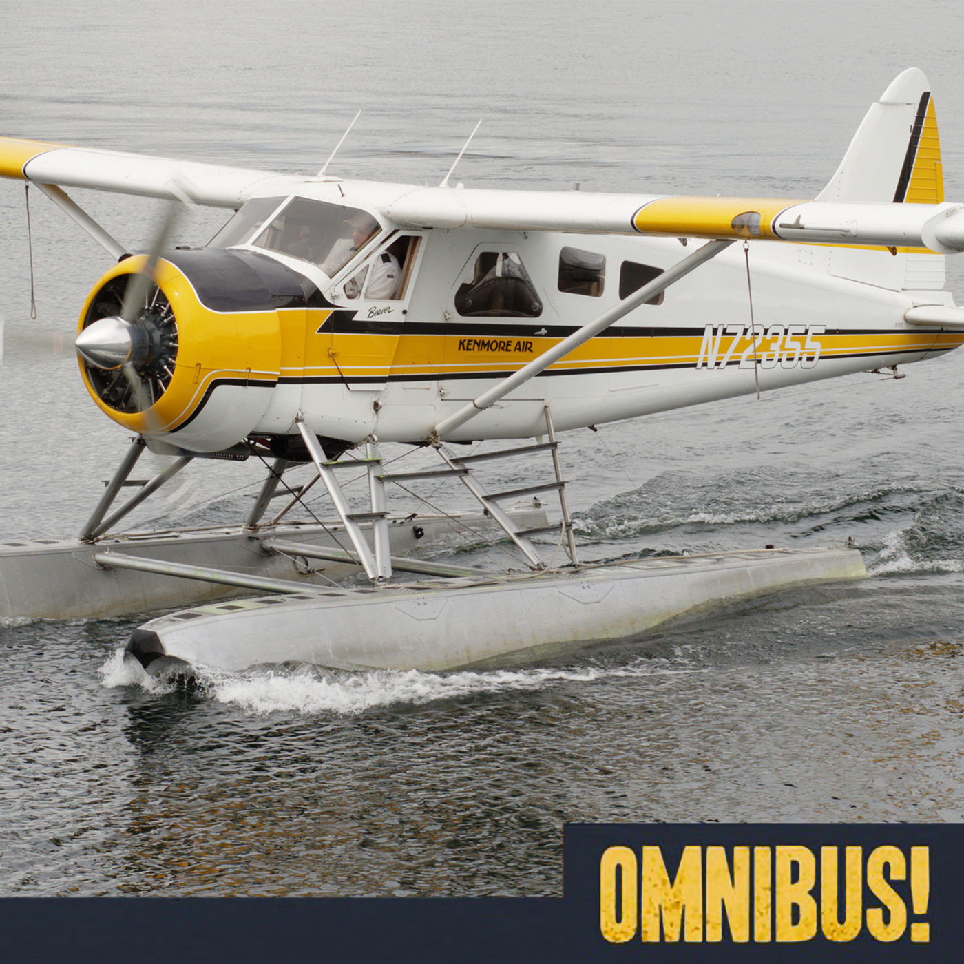 The De Havilland Beaver (Entry 328.DE0203)