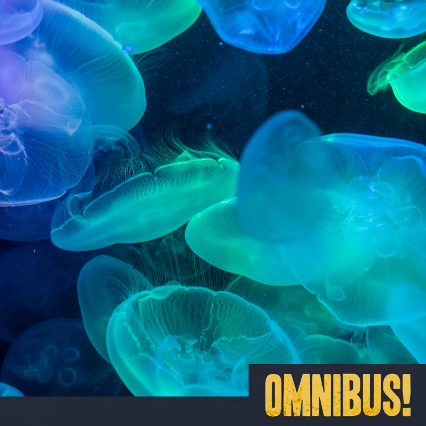 Jellyfish Blooms (Entry 671.PS10425)