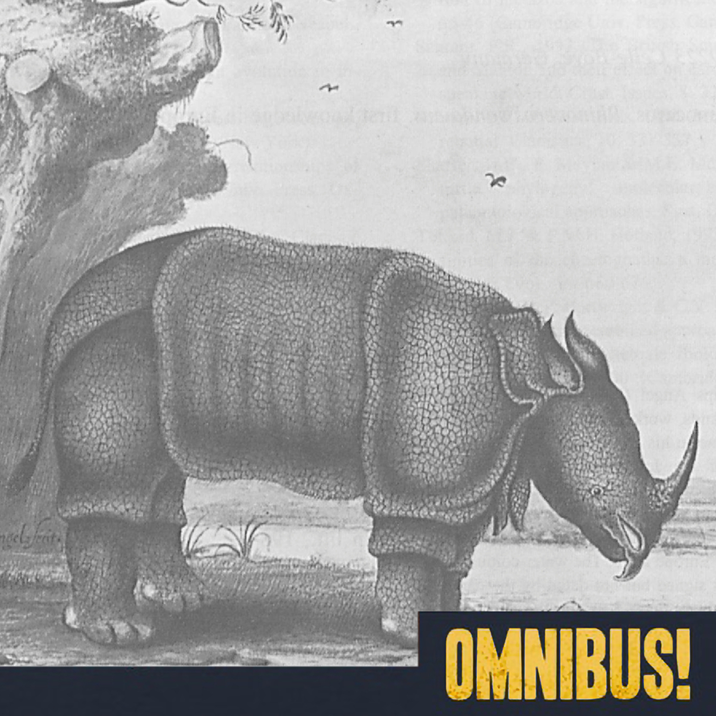 Rhinos in Europe (Entry 1069.JB3910)