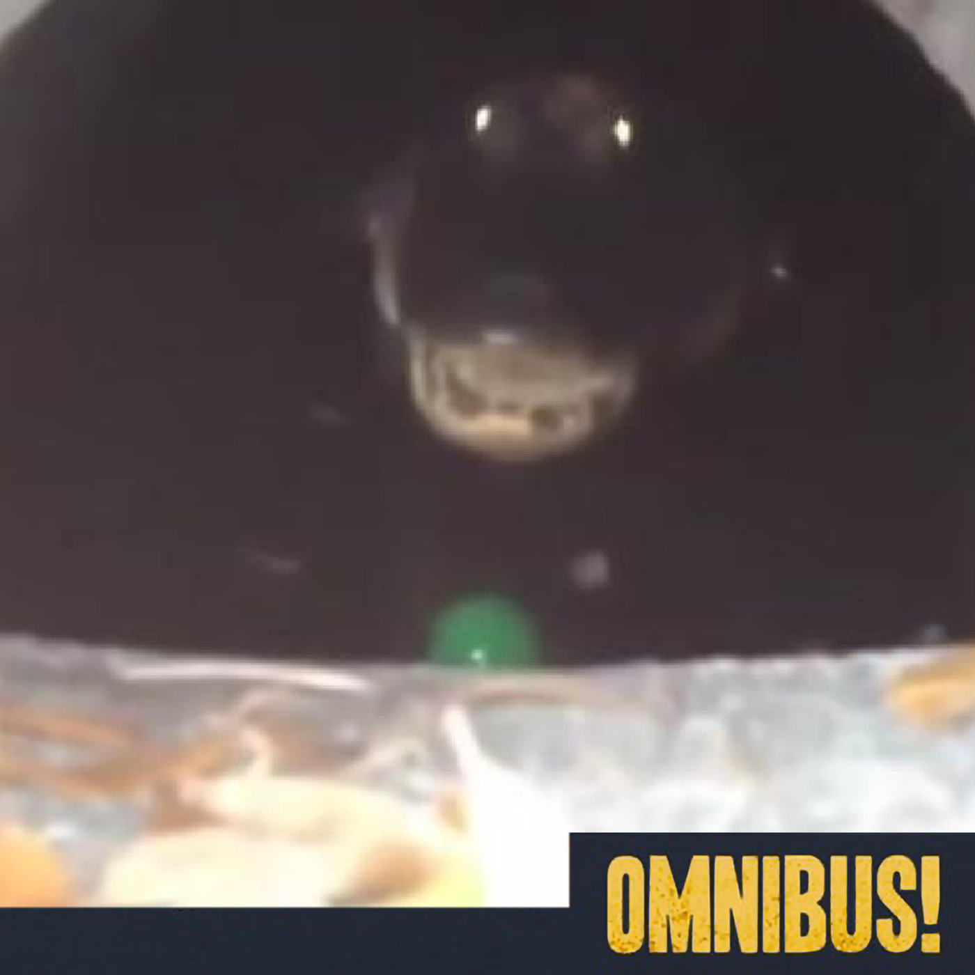 Alligators in the Sewers (Entry 033.LV1142)