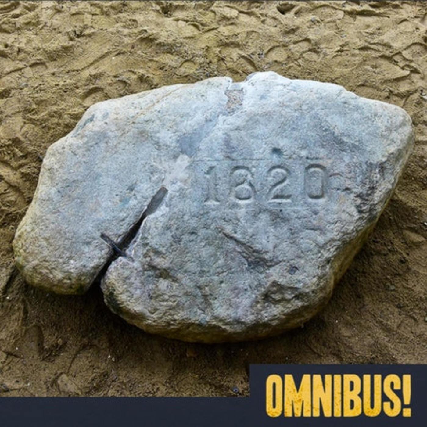 Plymouth Rock (Entry 955.EX3321)