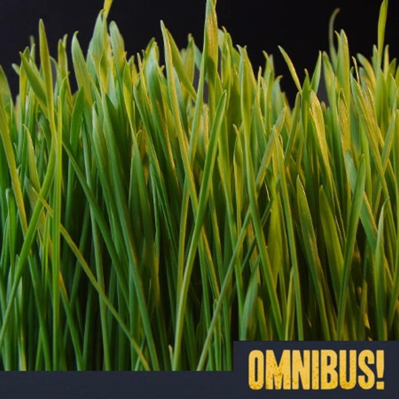 Grass (Entry 546.MK0639)