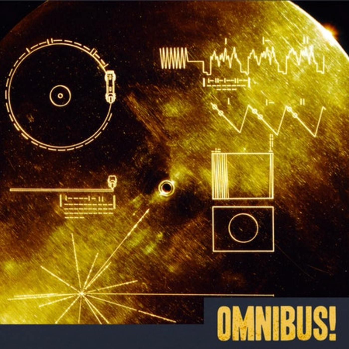The Voyager Golden Records (Entry 1403.JU0113)
