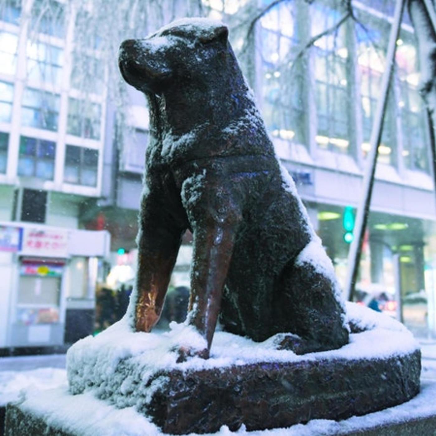 Hachiko (Entry 559.PR2006)