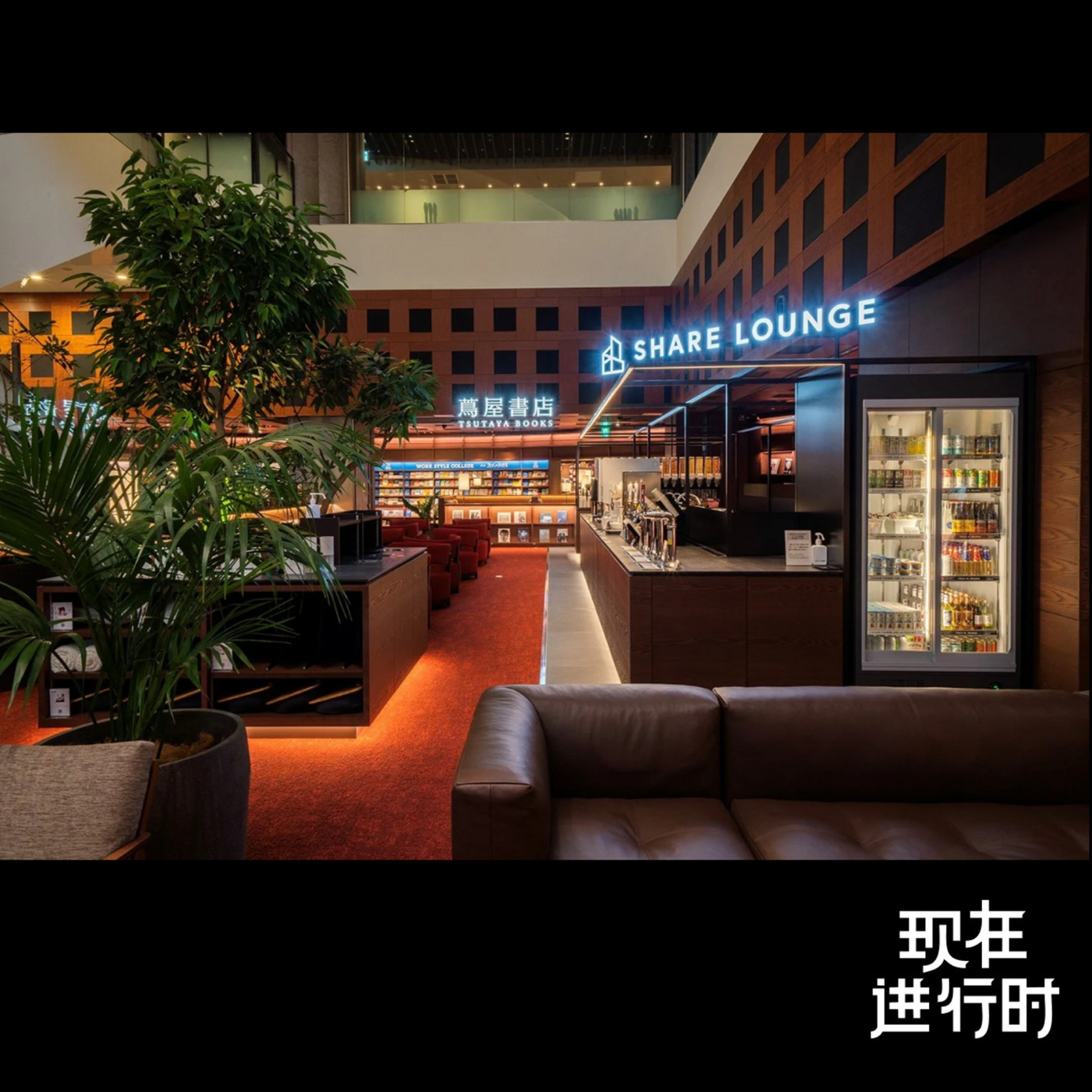 现在进行时: Vol.117 喝咖啡没座位？SHARE LOUNGE 把“坐一会儿”做成生意