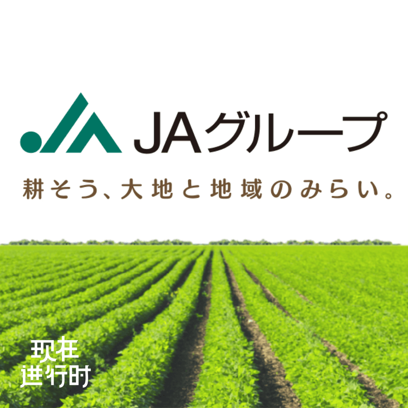 现在进行时: Vol.100 那个左右了日本米价的组织，为什么开始做创业孵化器？