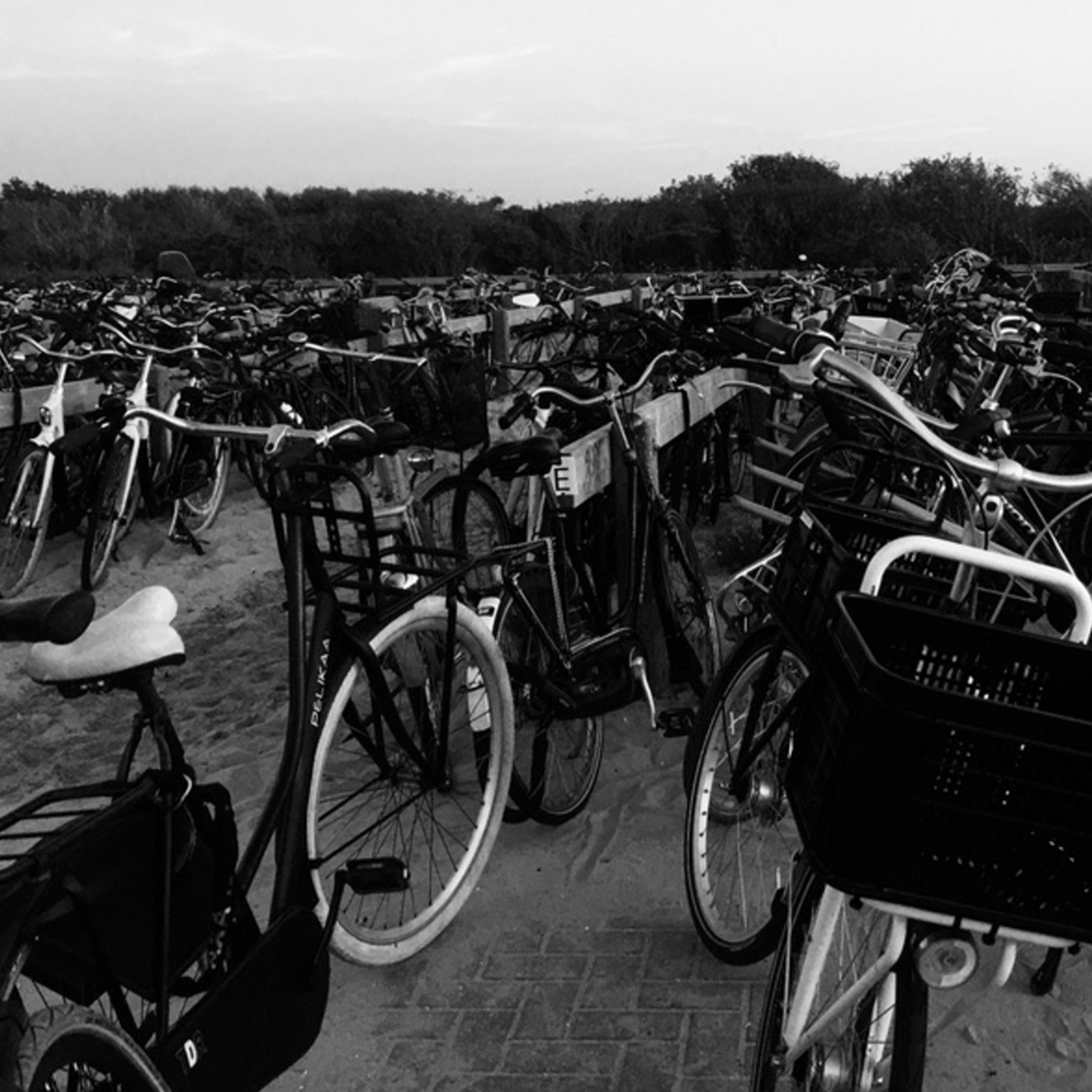 Out On The Ocean 12: Sunday Morning | Den Haag | September 22nd 2024