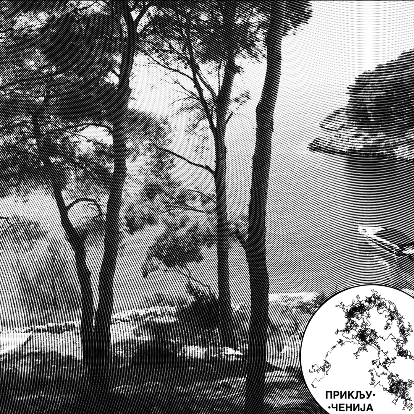 Priključenija 310: Brač