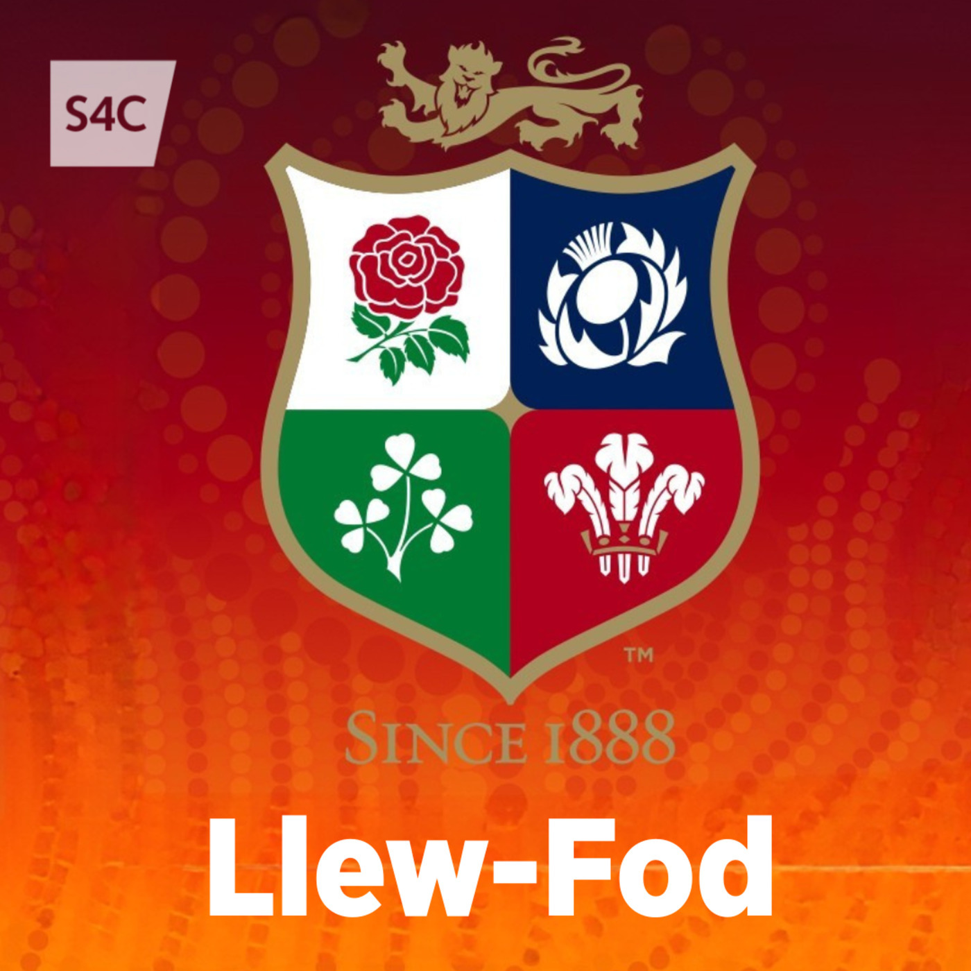 Llew-Fod 10: Llew-Fod