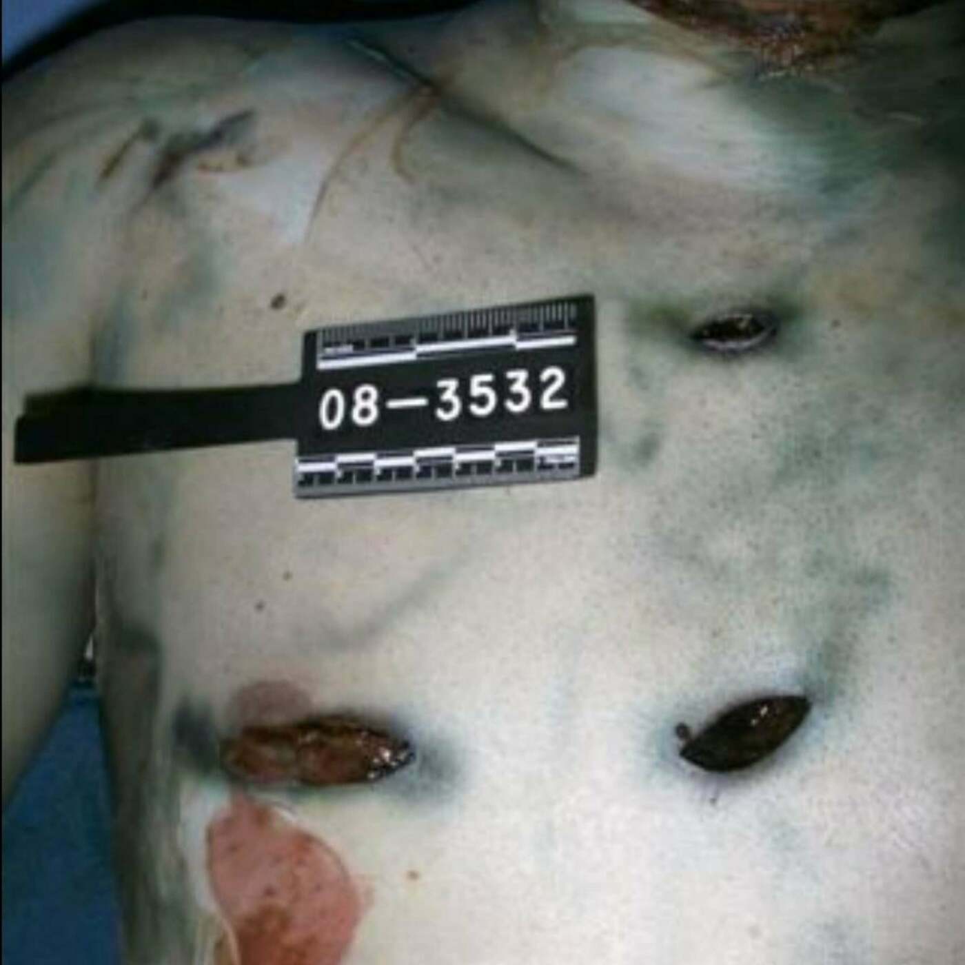 7 Fotos Con Trasfondos Aterradores