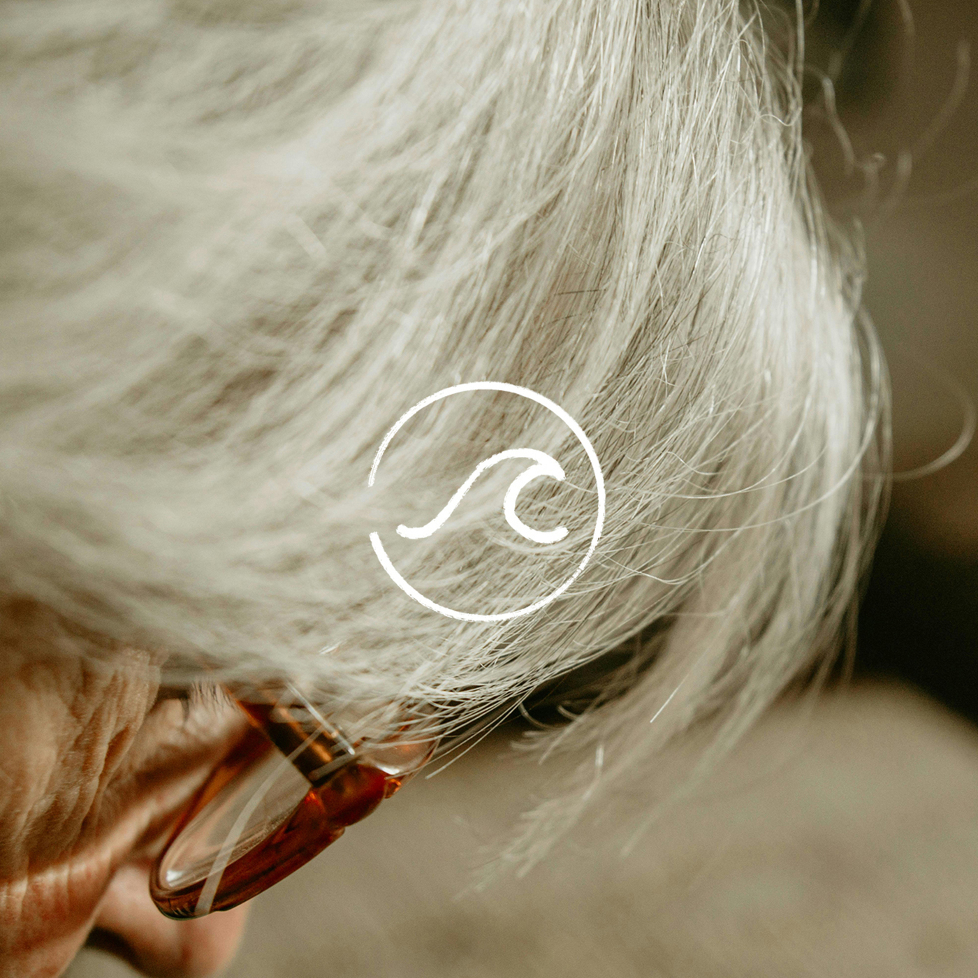 随机波动StochasticVolatility: 【随机波动168】有一天我们衰老、脆弱或失能，人生就不值得过了吗？