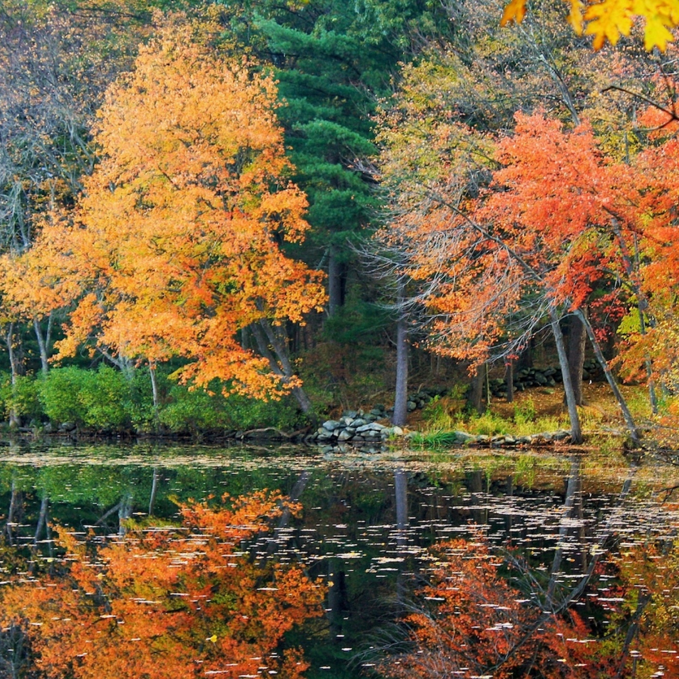 Azure Functions and Durable Functions