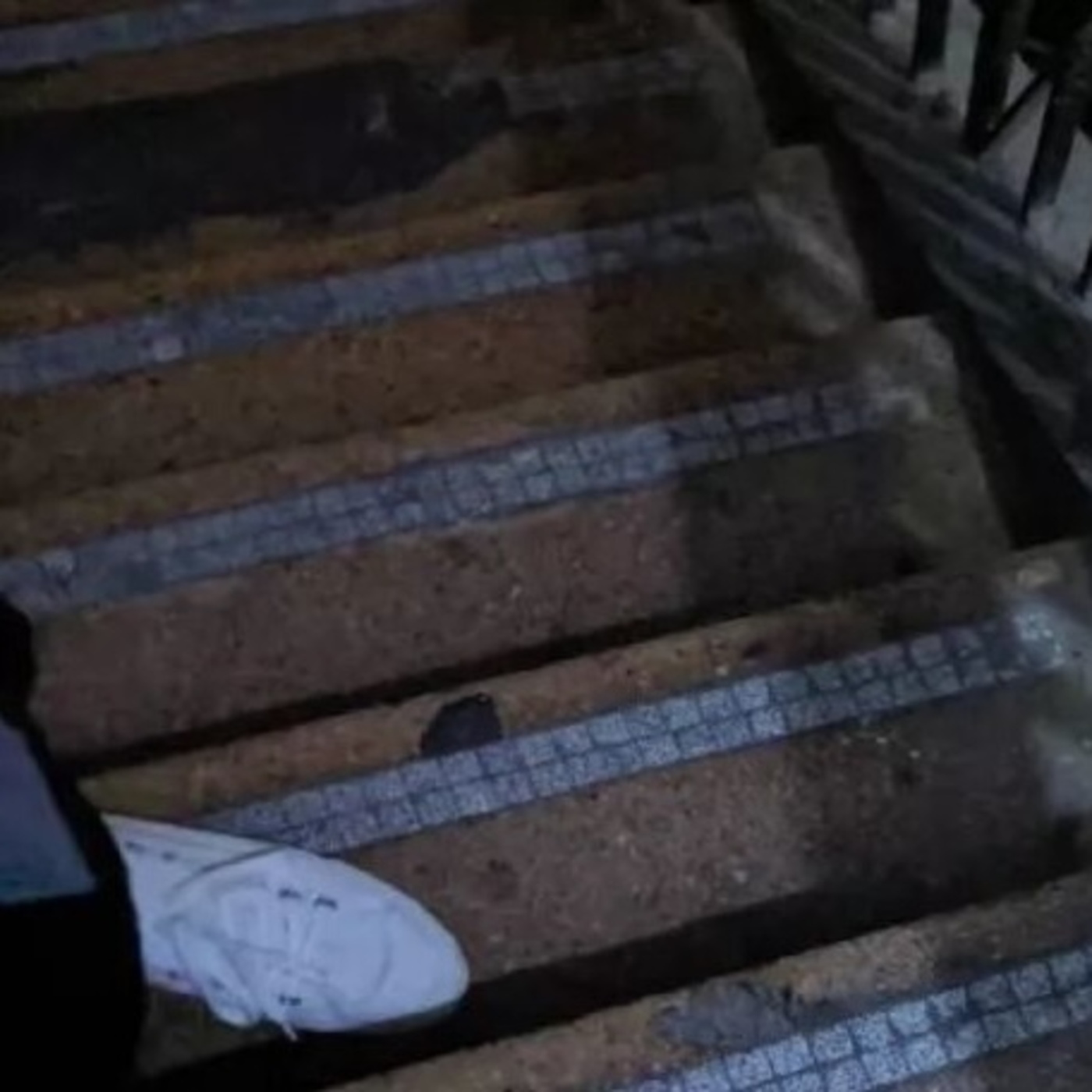 EP 20丨无责任金融界入门指北