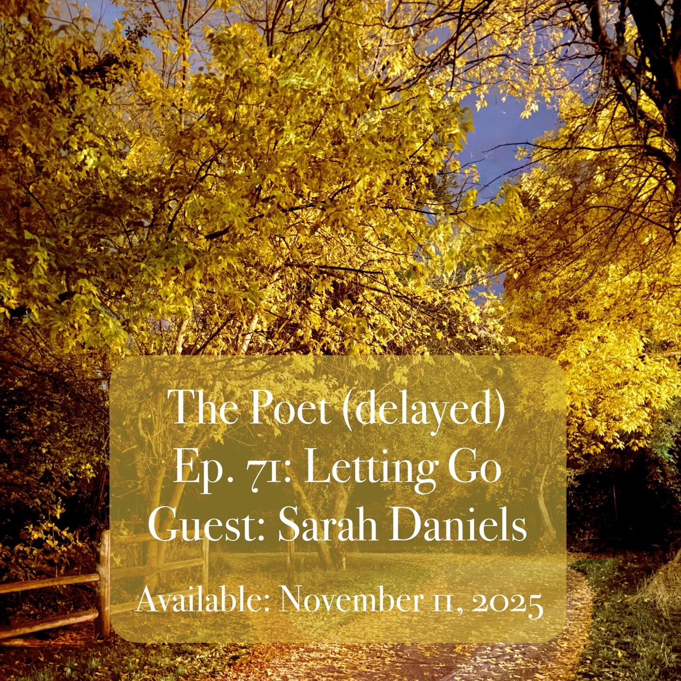 The Poet (delayed) 71: Letting Go