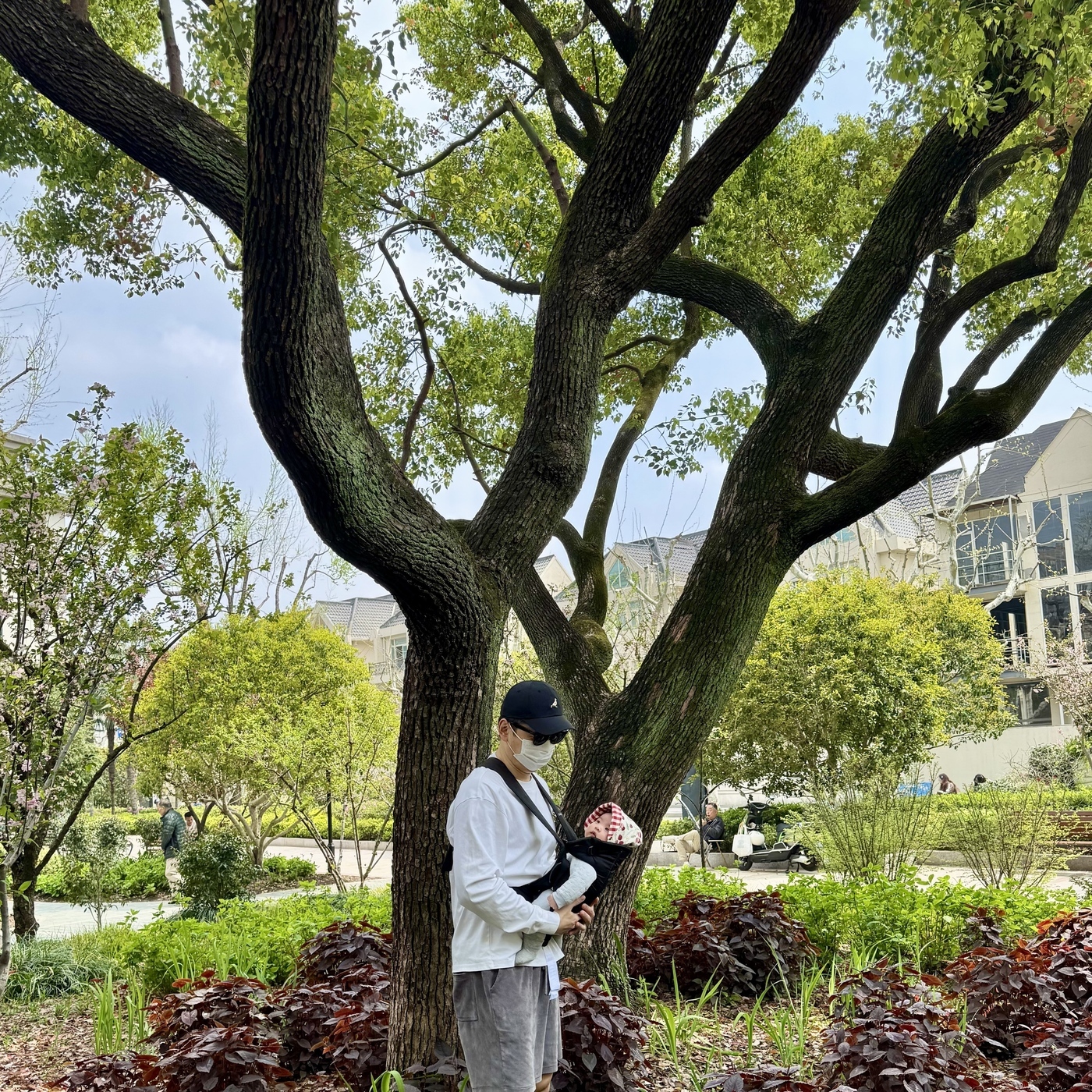 史蒂夫说: 史蒂夫说459期 - 心理科普：为什么40多岁做心理咨询，回报远高于20岁 