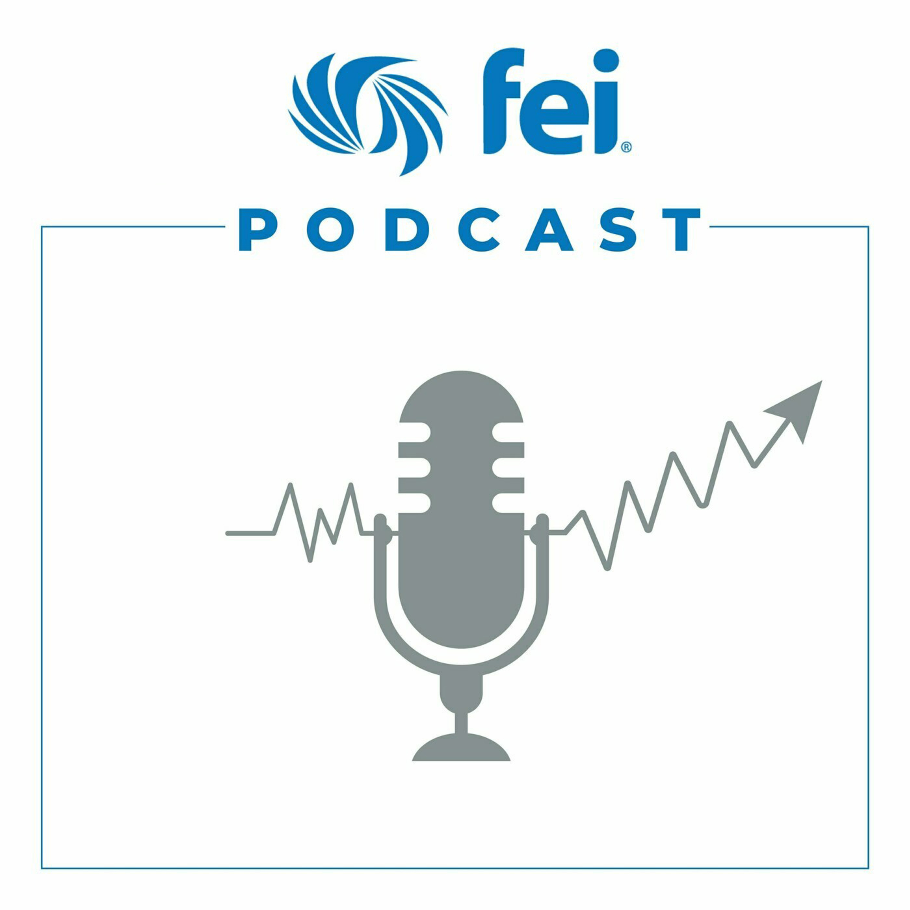 FEI Podcast