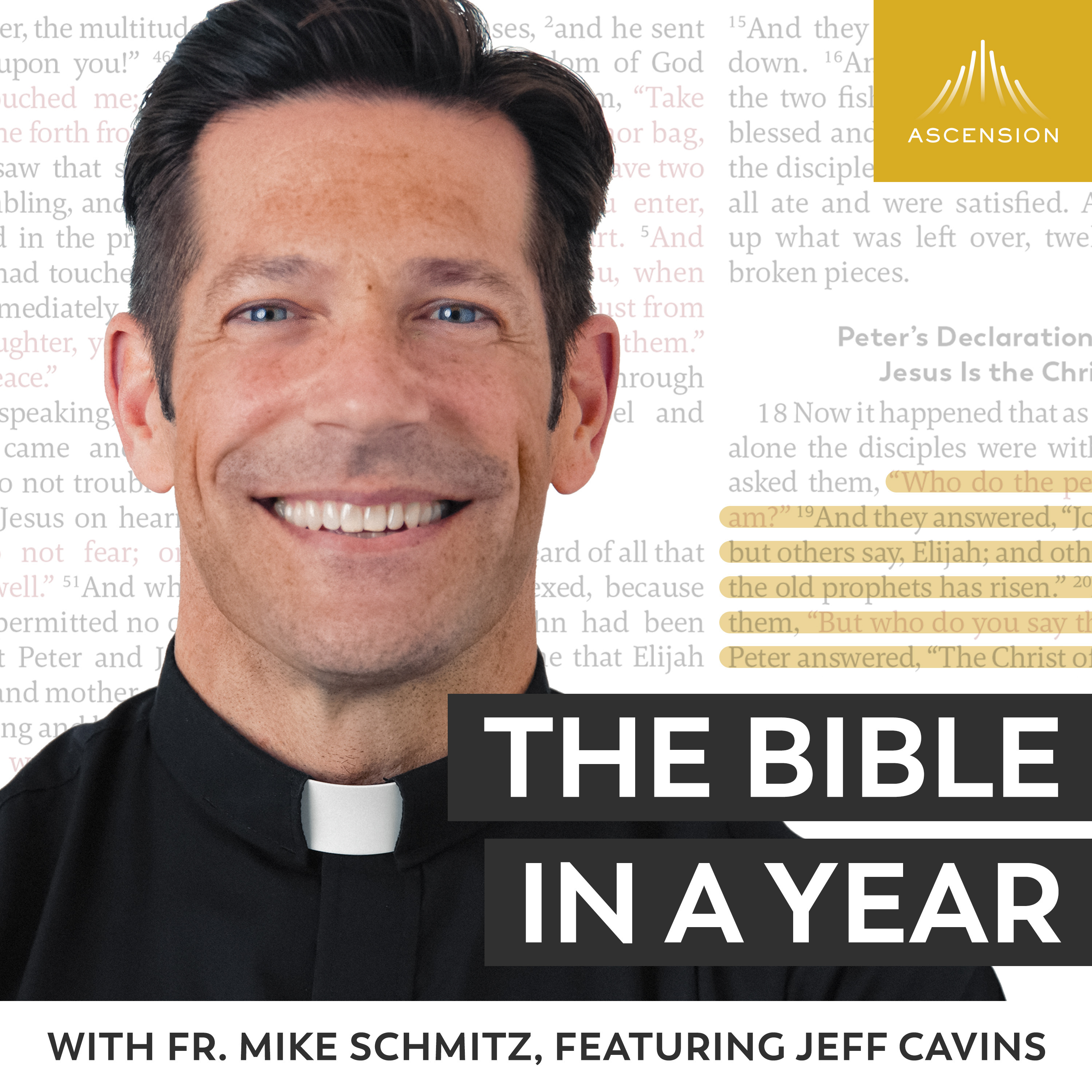 Podcast album