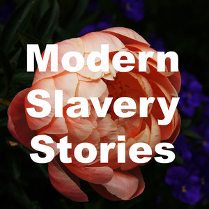 Modern Slavery Stories