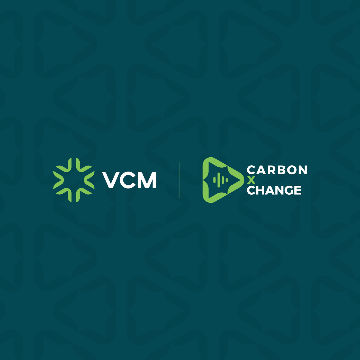 CARBON x CHANGE : 1.	Aviation, Ambition, and Sustainability: A Conversation with Maryam Telmesani