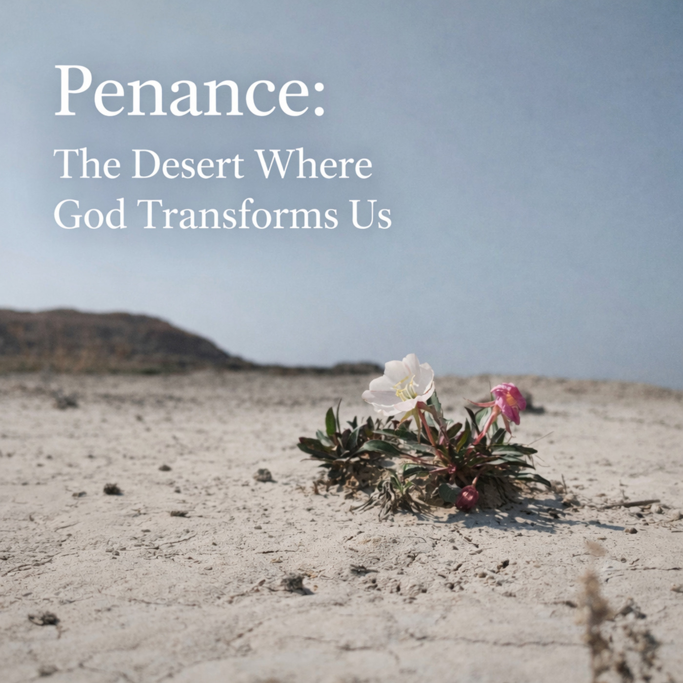 Draw Near: Penance: The Desert Where God Transforms Us