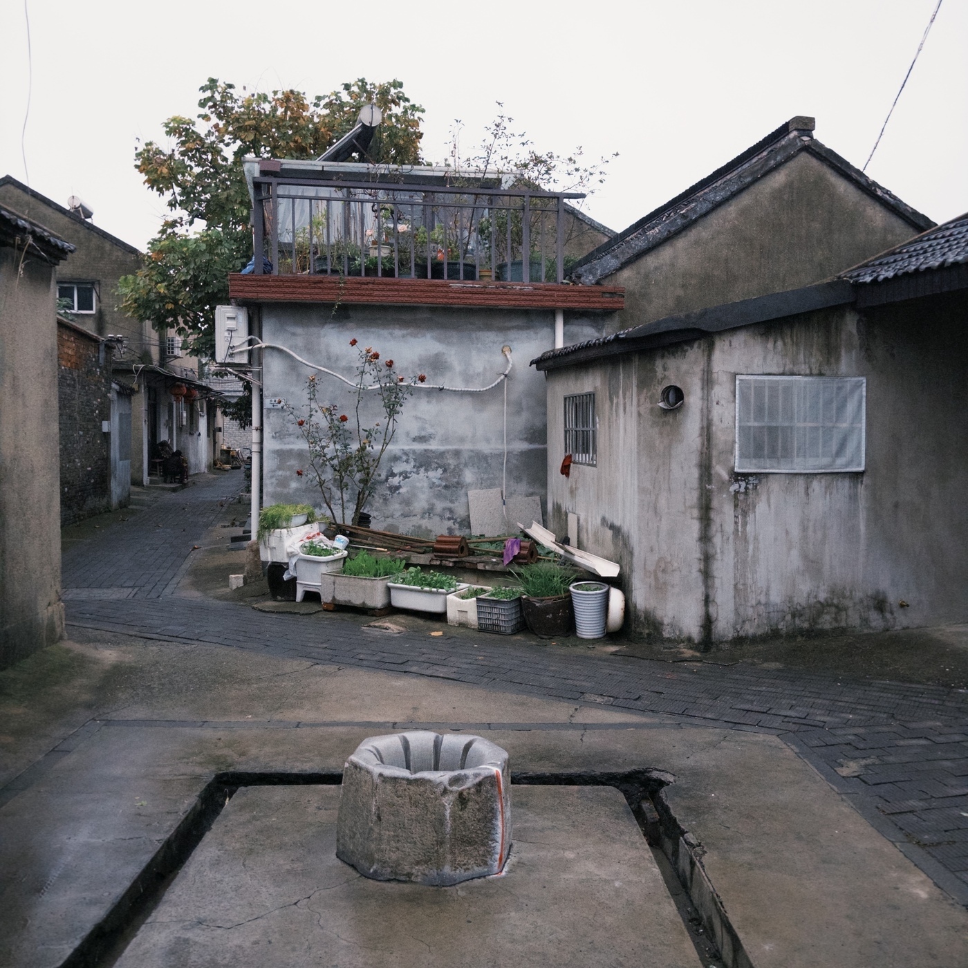 所建所闻 60: Flaneur | 扬州漫谈：一方水土，一方天地