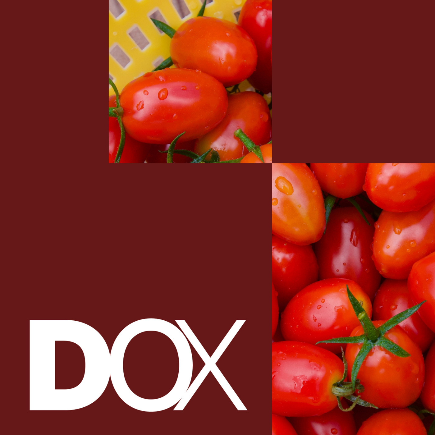 Ingeniøren DOX: Fremtidens Mad: Sådan får du styr på dine tarmbakterier