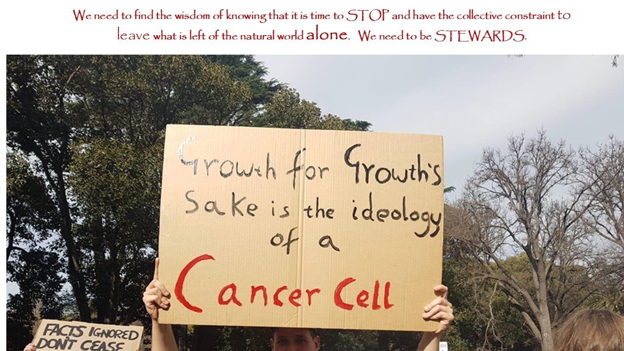 Slide 12