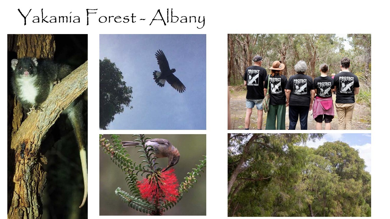 Slide 6