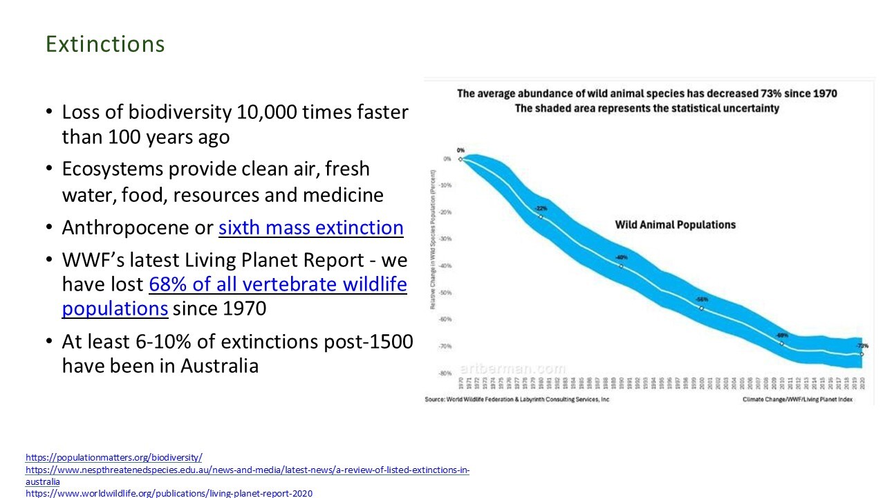 Slide 11